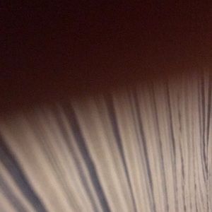 Meet your Posher, Tashi